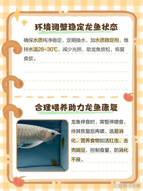 龍魚飼料魚消毒方法圖片