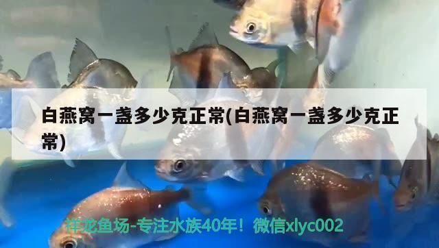 紅龍魚燈光位置擺放圖（紅龍魚燈光擺放位置促進紅龍魚發色和健康生長至關重要）
