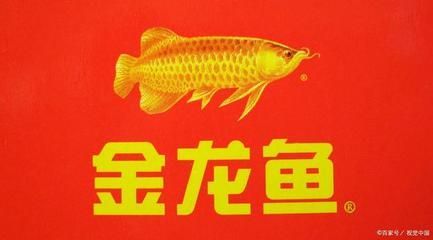 金龍魚運輸前需要提前停止喂食嗎：金龍魚在運輸前需要提前停止喂食嗎