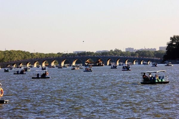 金龍魚尺寸不一樣混養（金龍魚在混養時尺寸不同的個體可能會引發一系列問題）