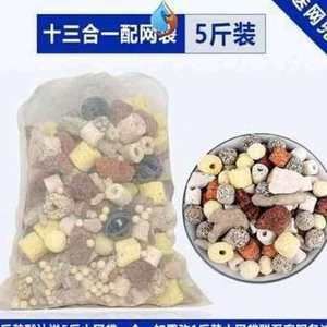印尼金龍魚(yú)批發(fā)市場(chǎng)在哪里有：了解印尼金龍魚(yú)批發(fā)市場(chǎng)的具體位置和具體位置