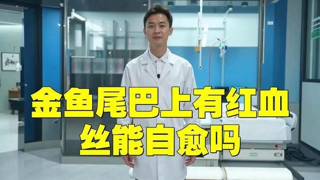 魚身體滲血發(fā)紅會自愈嗎？