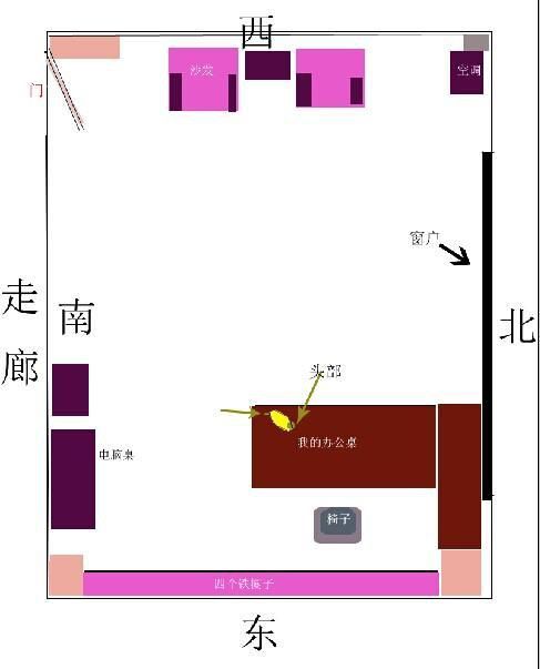 龍龜放衛生間最佳位置圖