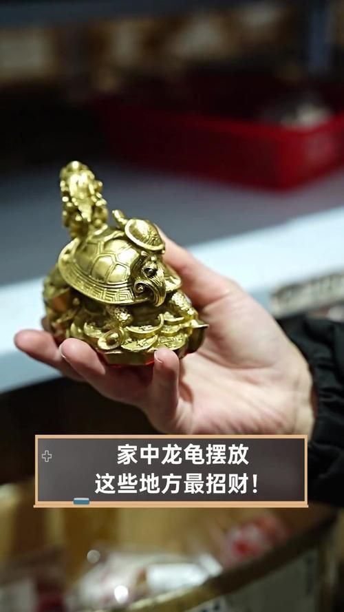 龍龜放衛生間最佳位置圖