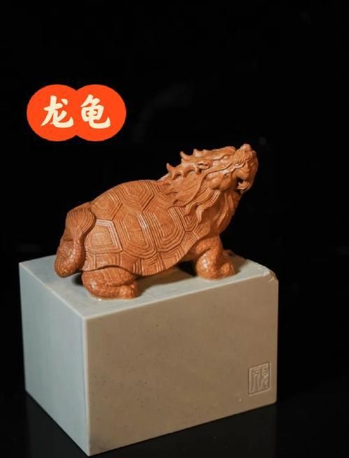 龍龜放衛生間最佳位置圖