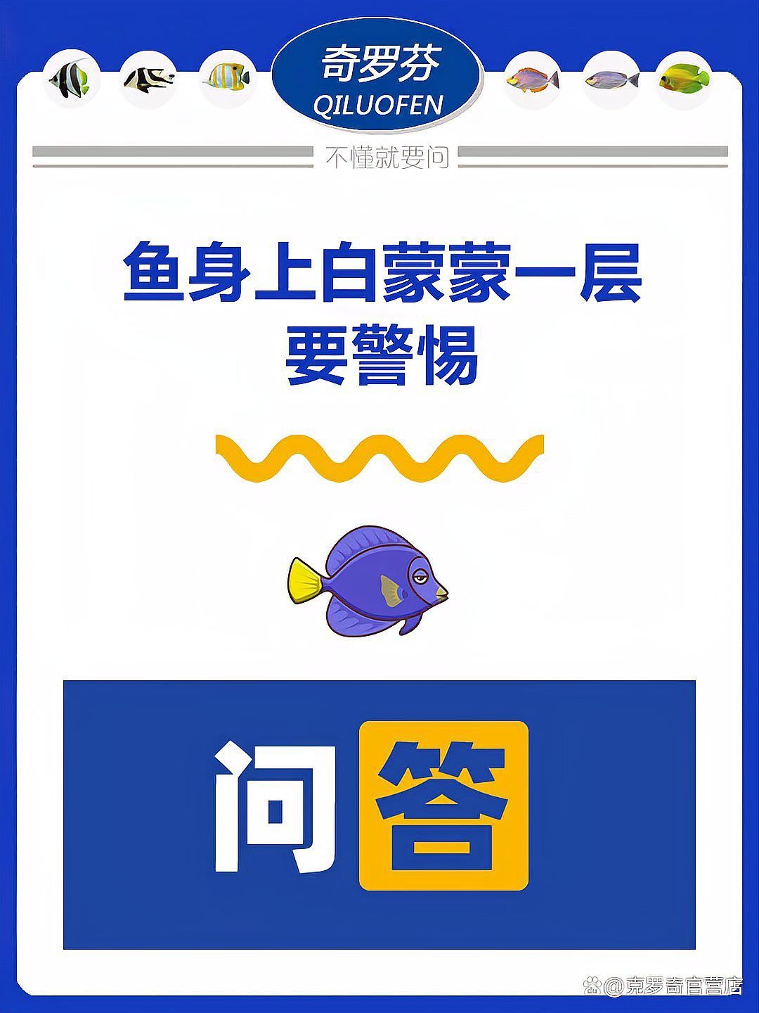 火龍魚身上有白膜是什么病