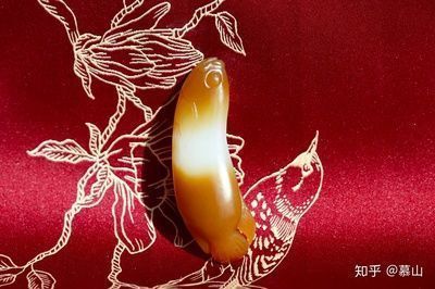 金色金龍魚價格（金色金龍魚價格從幾百元到數萬元不等）