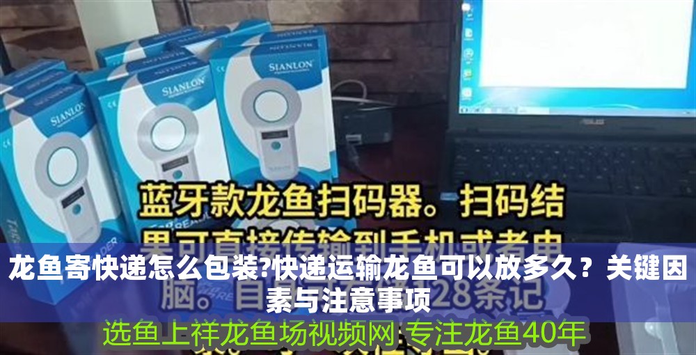 龍魚寄快遞怎么包裝?快遞運輸龍魚可以放多久？關鍵因素與注意事項