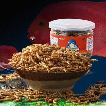 龍魚(yú)是否可以使用黃粉（黃粉可以治療多種魚(yú)類(lèi)疾病）