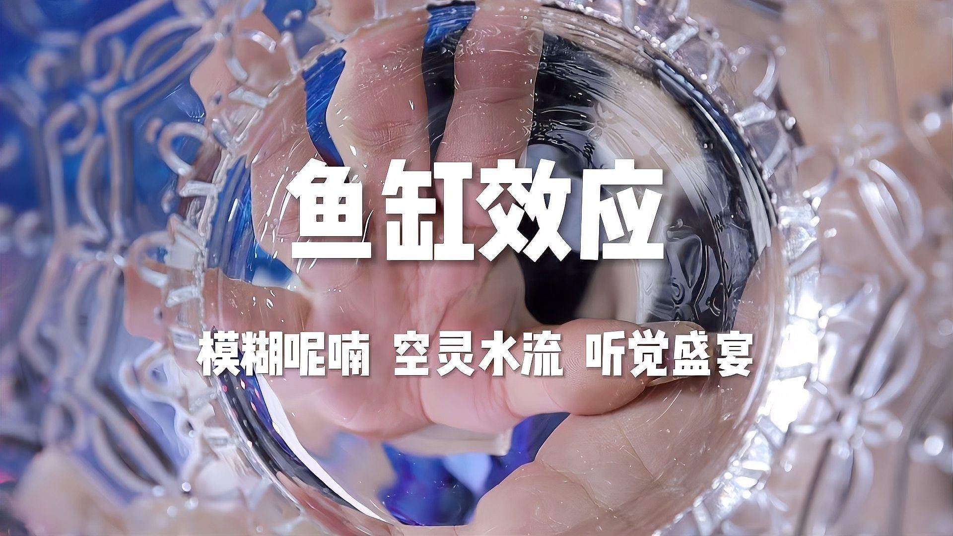 專業定做魚缸觀賞魚選龍魚世家水族館贊 專業定做魚缸觀賞魚選龍魚世家水族館贊 龍魚百科 第7張