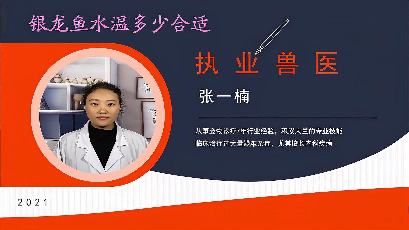養(yǎng)銀龍魚水溫多少