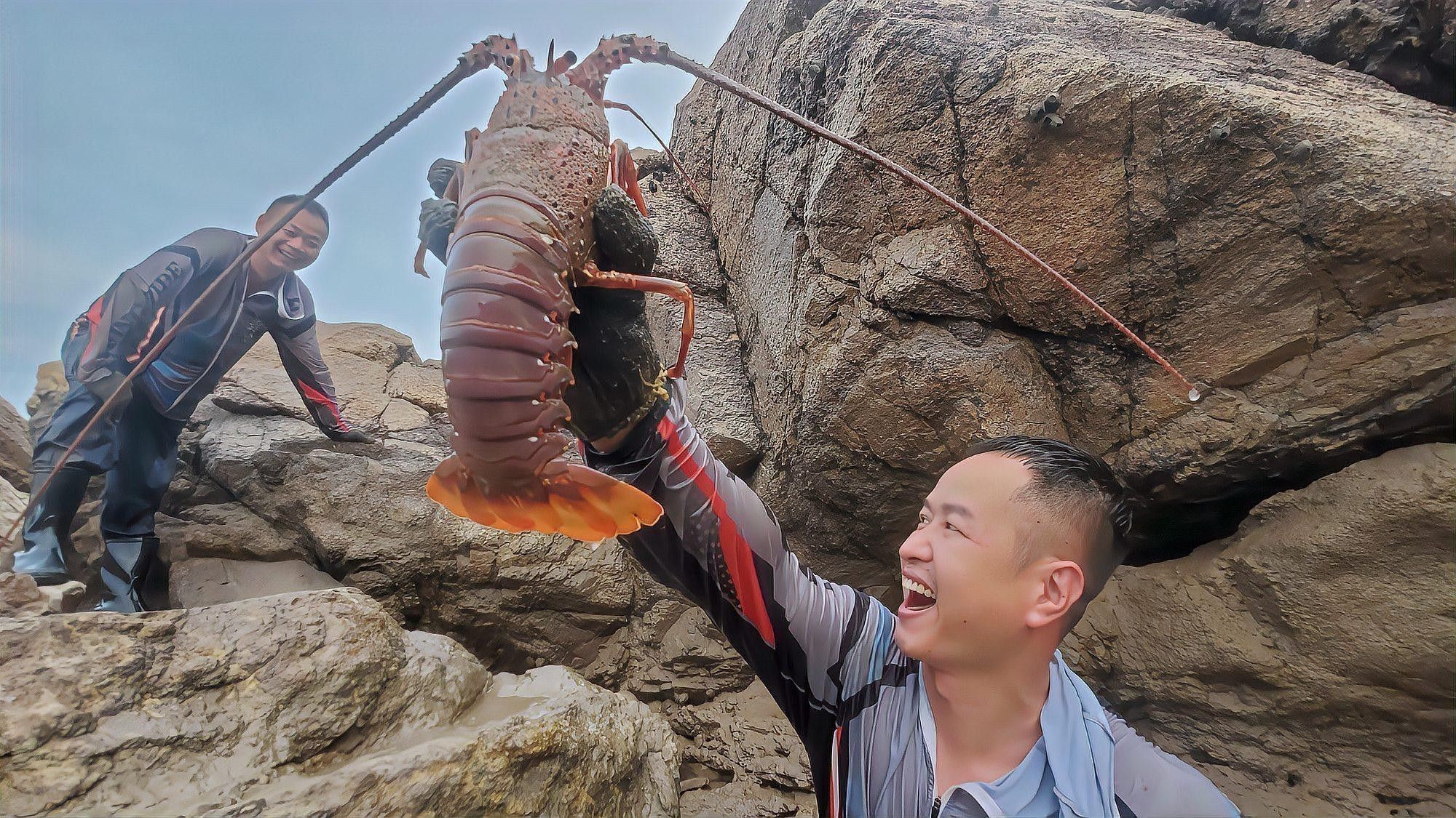 如何養六角龍魚