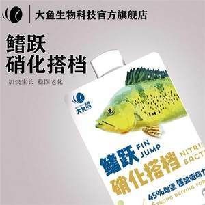 印尼小紅龍魚價格多少：印尼小紅龍魚價格