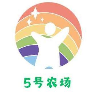 龍魚爛身最怕三個東西 龍魚百科 第8張 龍魚爛身最怕三個東西 龍魚爛身最怕三個東西 龍魚百科 第8張
