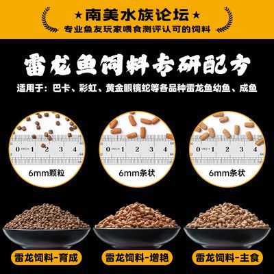 雷龍魚飼料魚：雷龍魚飼料品牌對比