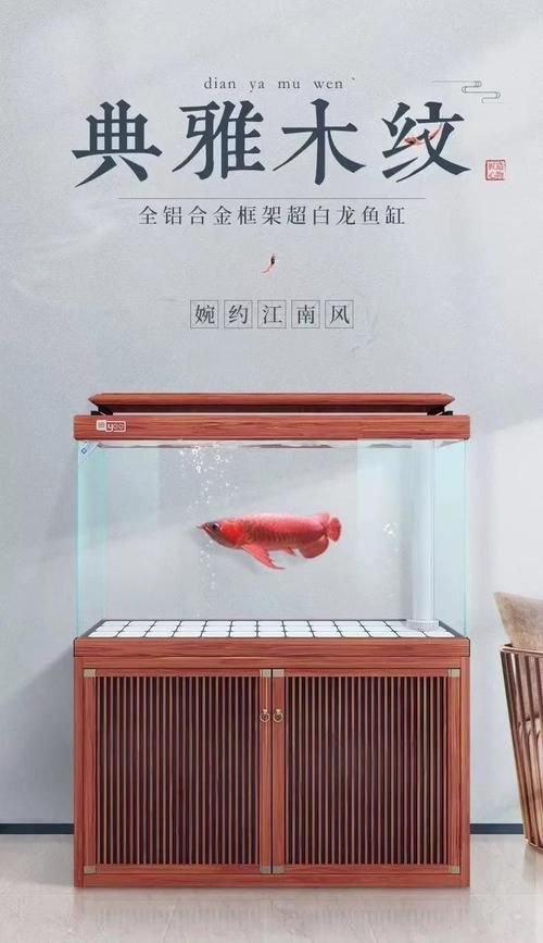 龍魚魚缸十大名牌排行榜圖片