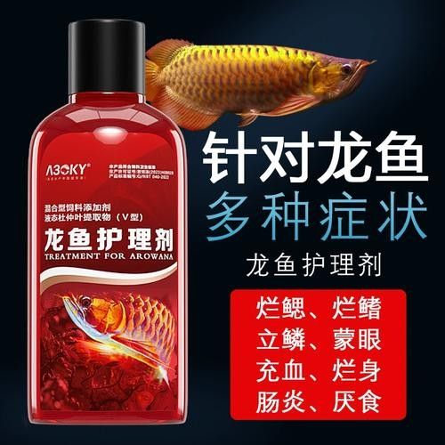 銀龍魚體表腐爛怎么治療圖片大全