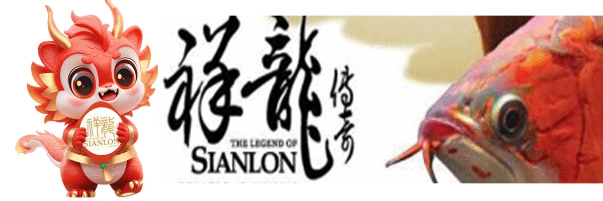 雪龍魚季節性價格變動規律：雪龍魚在不同季節的價格變動規律 雪龍魚季節性價格變動規律：雪龍魚在不同季節的價格變動規律 龍魚百科 第4張