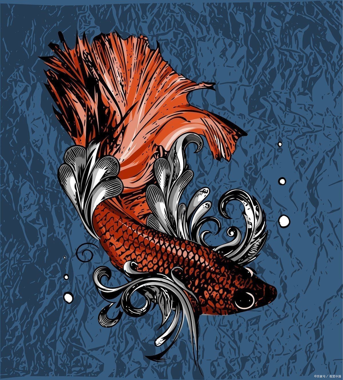 古典龍魚的歷史起源 古典龍魚的歷史起源 龍魚百科 第5張