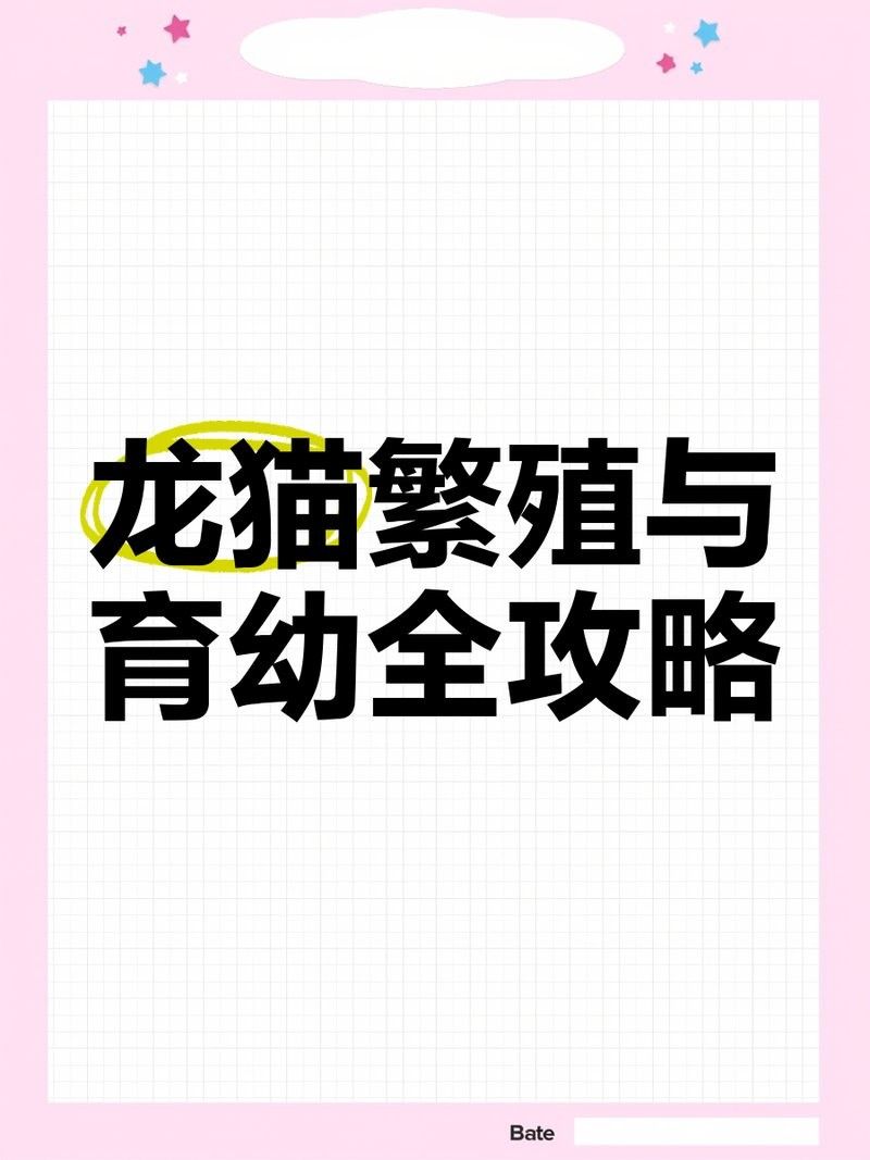 龍貓繁殖時需要準備什么？