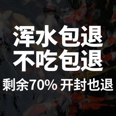 三間魚幼魚飼料品牌推薦：2024年的龍魚飼料排行榜中表現出較好的龍魚飼料品牌