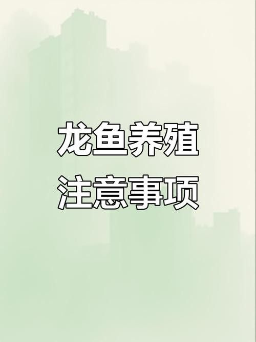 龍魚會跳缸嗎怎么回事啊圖片 龍魚百科 第16張 龍魚會跳缸嗎怎么回事啊圖片 龍魚會跳缸嗎怎么回事啊圖片 龍魚百科 第16張