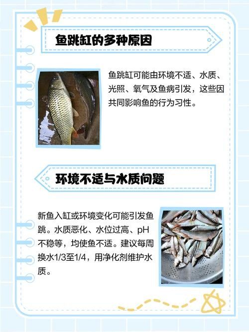 龍魚會跳缸嗎怎么回事啊圖片 龍魚百科 第17張 龍魚會跳缸嗎怎么回事啊圖片 龍魚會跳缸嗎怎么回事啊圖片 龍魚百科 第17張