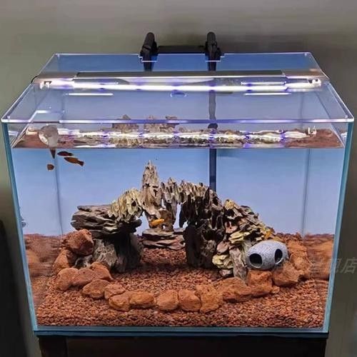龍魚會跳缸嗎怎么回事啊圖片 龍魚百科 第23張 龍魚會跳缸嗎怎么回事啊圖片 龍魚會跳缸嗎怎么回事啊圖片 龍魚百科 第23張