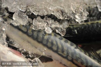 銀龍魚 好壞（判斷銀龍魚的好壞需要綜合考慮其外觀特征、健康的銀龍魚）