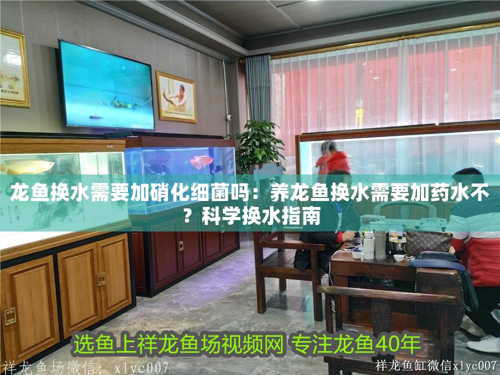 龍魚換水需要加硝化細菌嗎：養龍魚換水需要加藥水不？科學換水指南
