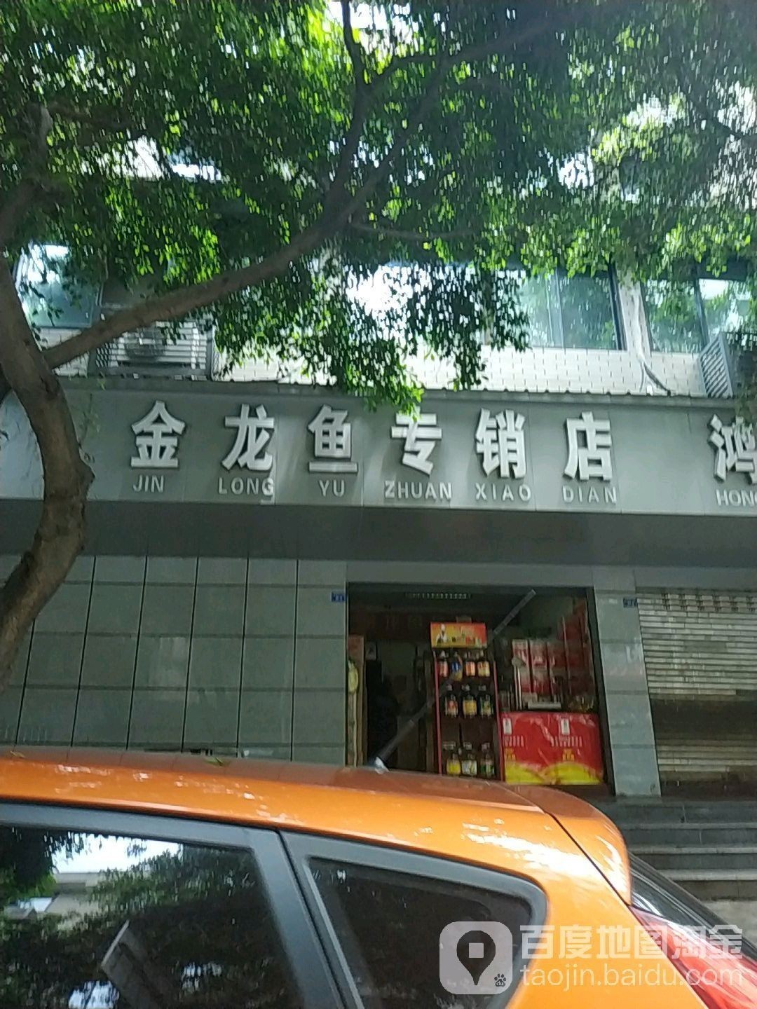 成都哪里有賣金龍魚活體的地方 成都哪里有賣金龍魚活體的地方 龍魚百科 第12張