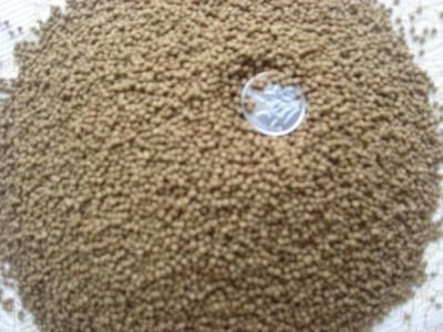 龍魚飼料魚是什么魚做的：龍魚飼料魚及其特點(diǎn)是什么龍魚飼料魚的養(yǎng)殖技巧