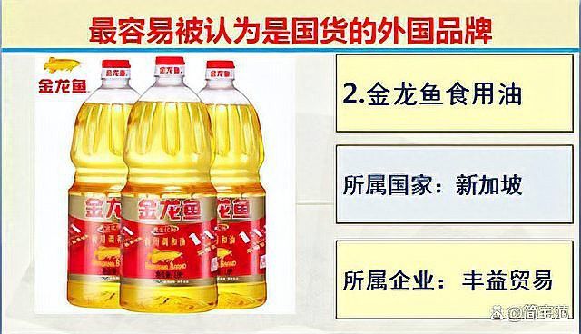 金龍魚是日本企業嗎