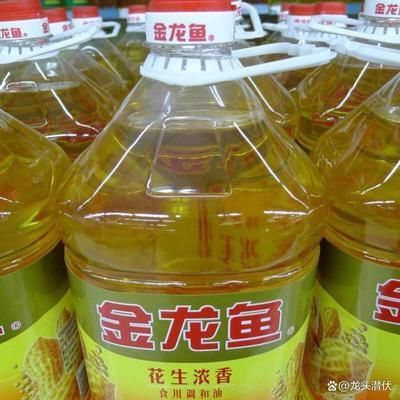金龍魚分析討論：金龍魚市場(chǎng)競(jìng)爭(zhēng)力分析