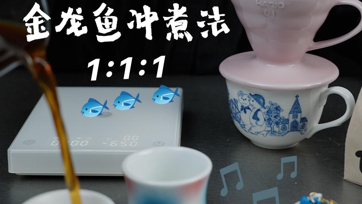 新手養金龍魚需要注意什么？