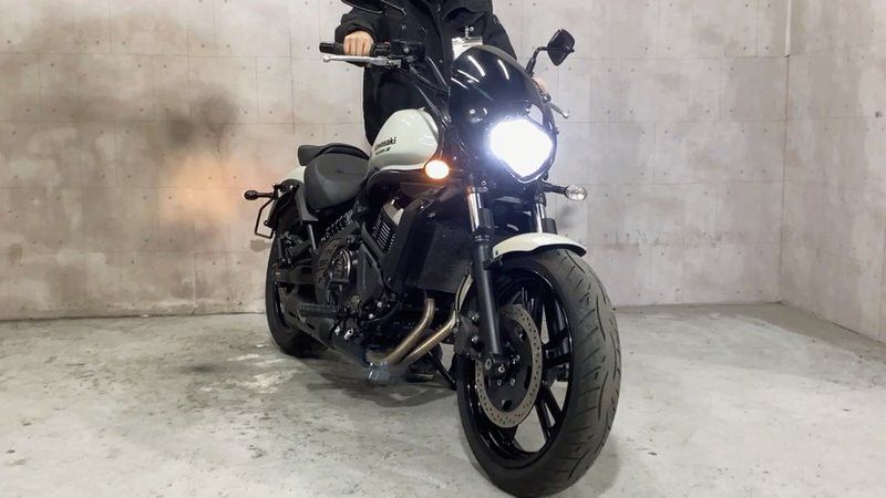 帝龍火神系列的價格是多少？ 帝龍火神系列的價格是多少？ 龍魚百科 第1張