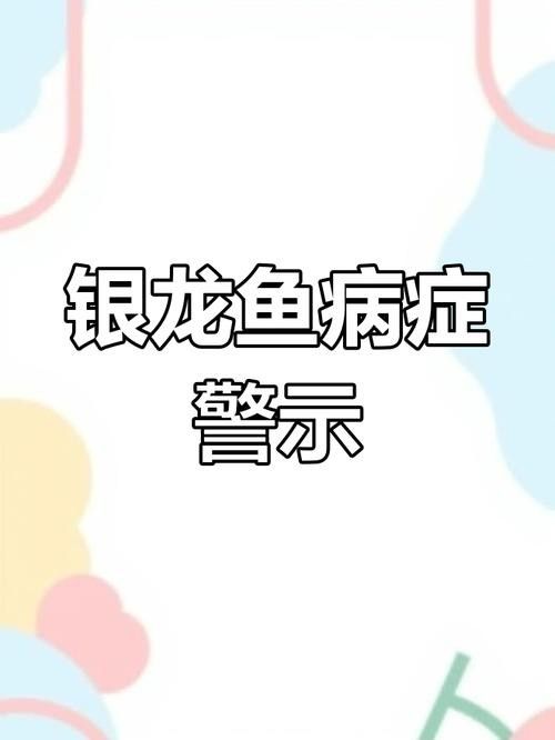 銀龍魚不搶食吃咋辦 銀龍魚不搶食吃咋辦 龍魚百科 第10張
