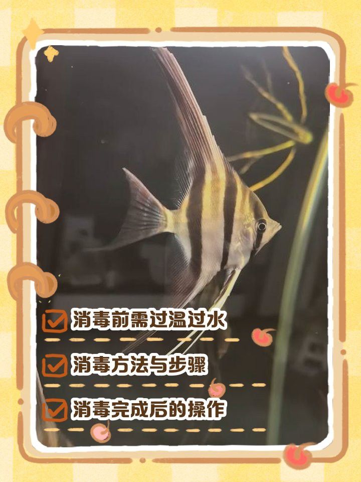 如何判斷金龍魚是否需要消毒？