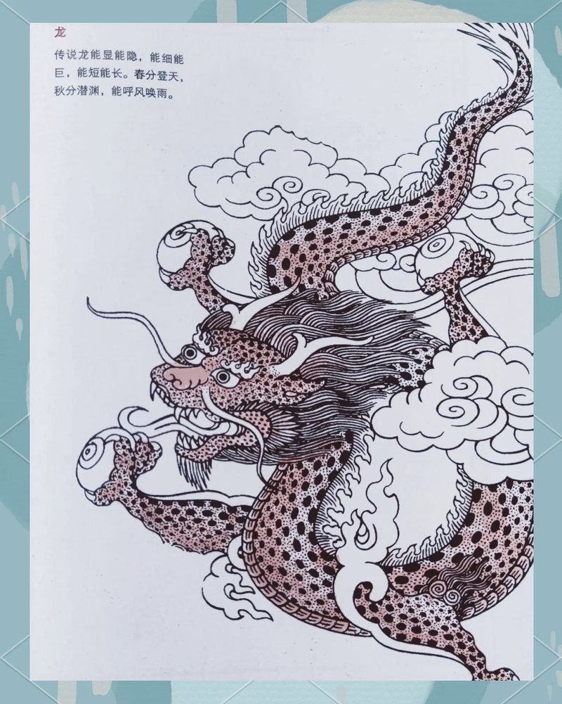 龍的外形特征