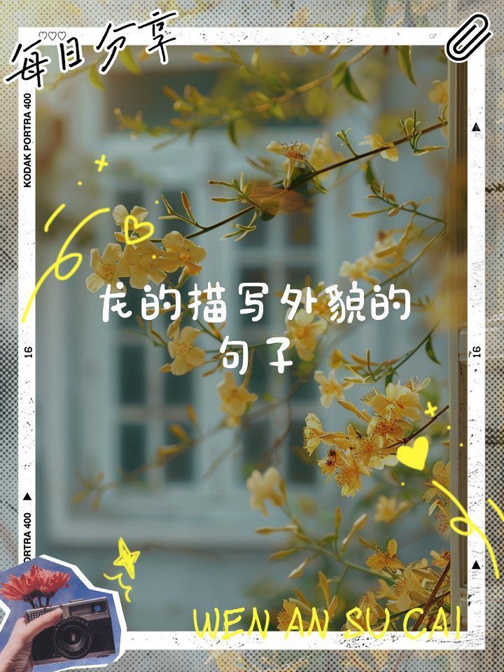 龍的外形特征
