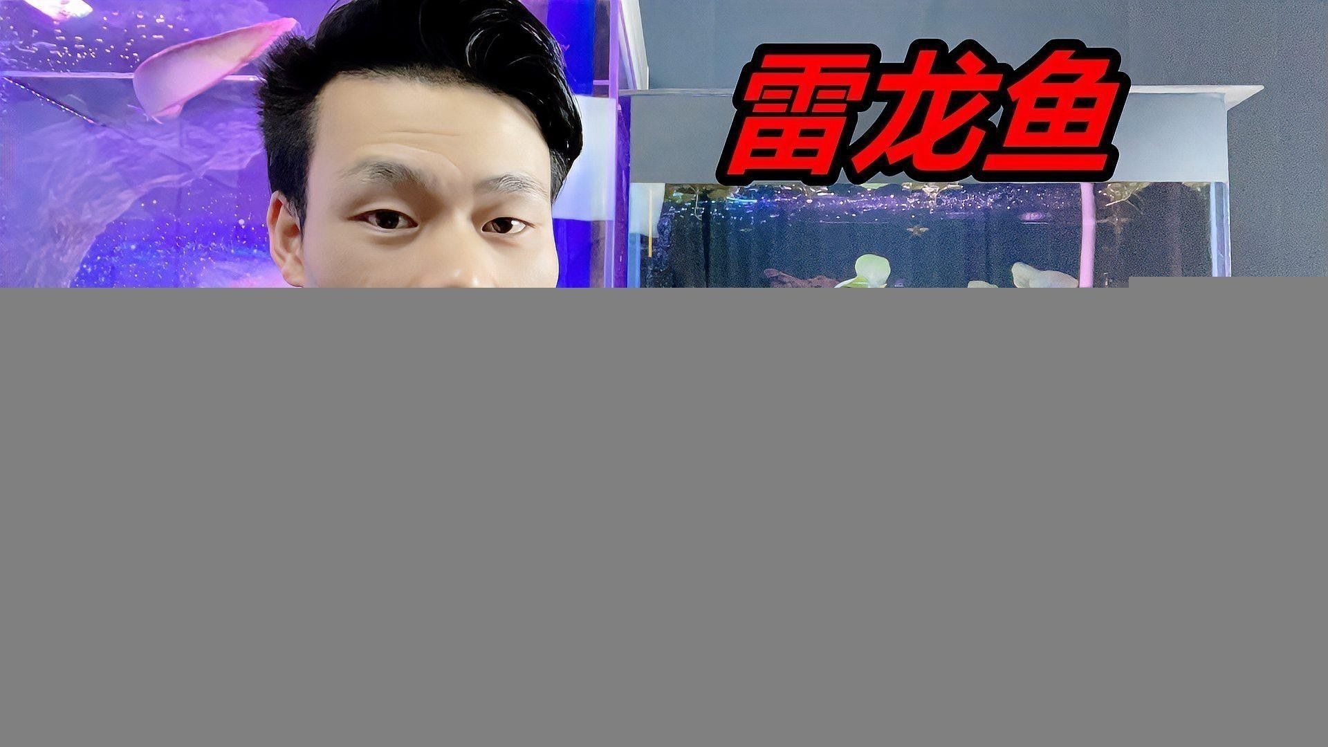雷龍魚如何讓帆長高