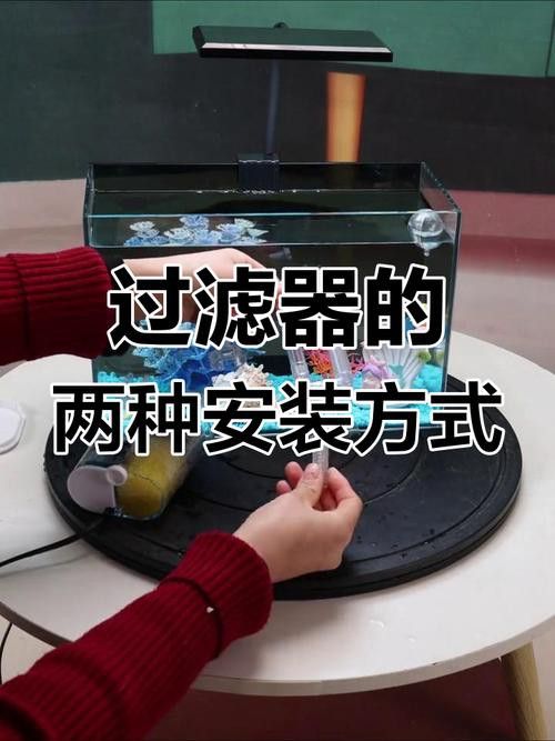 西龍魚缸過濾器安裝圖解大全 龍魚百科 第3張 西龍魚缸過濾器安裝圖解大全 西龍魚缸過濾器安裝圖解大全 龍魚百科 第3張