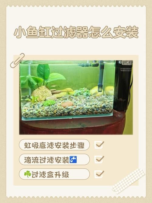 西龍魚缸過濾器安裝圖解大全 龍魚百科 第7張 西龍魚缸過濾器安裝圖解大全 西龍魚缸過濾器安裝圖解大全 龍魚百科 第7張
