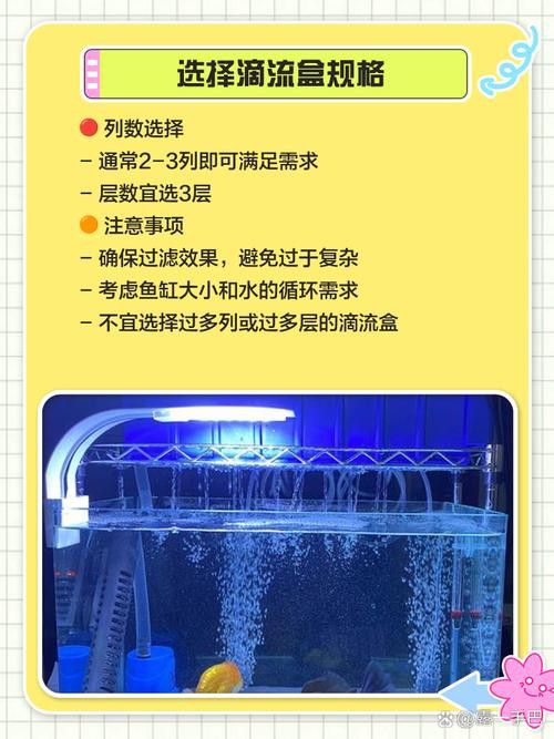 西龍魚缸過濾器安裝圖解大全 龍魚百科 第13張 西龍魚缸過濾器安裝圖解大全 西龍魚缸過濾器安裝圖解大全 龍魚百科 第13張
