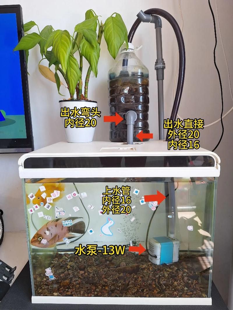 西龍魚缸過濾器安裝圖解大全 龍魚百科 第25張 西龍魚缸過濾器安裝圖解大全 西龍魚缸過濾器安裝圖解大全 龍魚百科 第25張