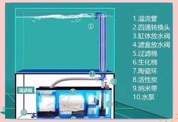西龍魚缸過濾器安裝圖解大全 西龍魚缸過濾器安裝圖解大全 龍魚百科 第29張