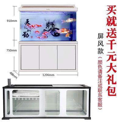 金龍魚一年能長多大（金龍魚幼年期快速生長技巧）