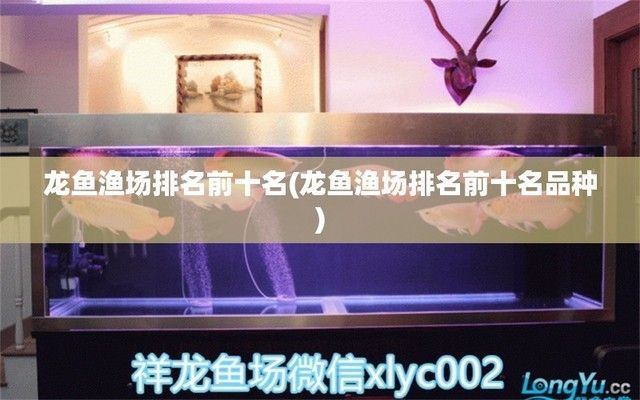 廣州大型龍魚漁場有哪些品種（如何挑選健康的龍魚，廣州大型龍魚漁場的特色服務(wù)） 廣州大型龍魚漁場有哪些品種（如何挑選健康的龍魚，廣州大型龍魚漁場的特色服務(wù)） 龍魚百科 第5張