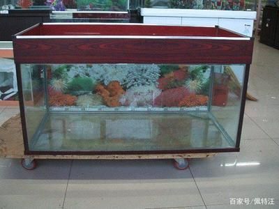 紅龍魚(yú)好吃嗎圖片大全（紅龍魚(yú)好吃嗎圖片大全大圖）