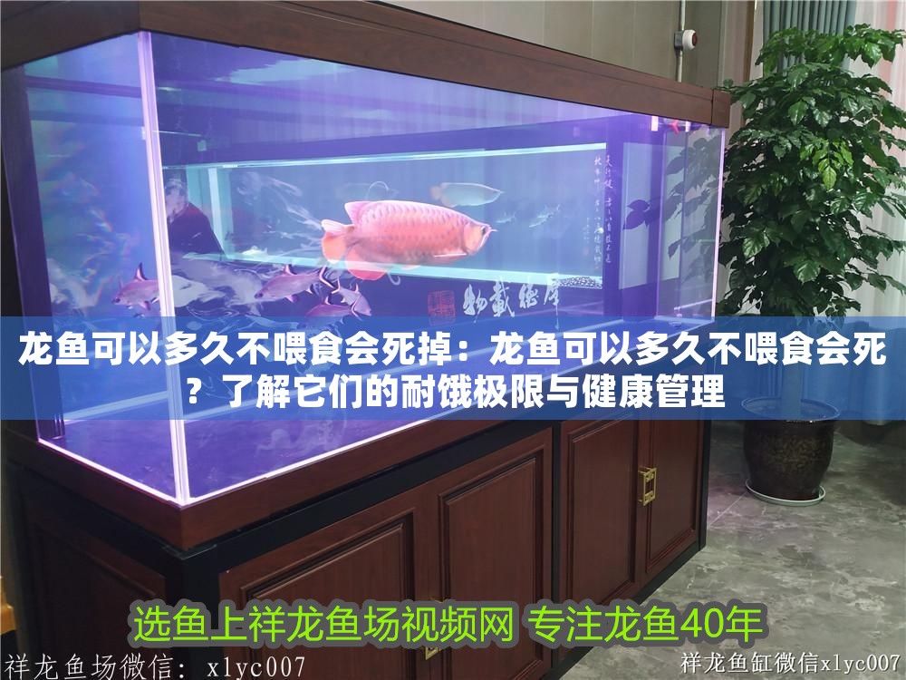 龍魚趴缸多久需要換水？ 龍魚趴缸多久需要換水？ 龍魚百科 第1張